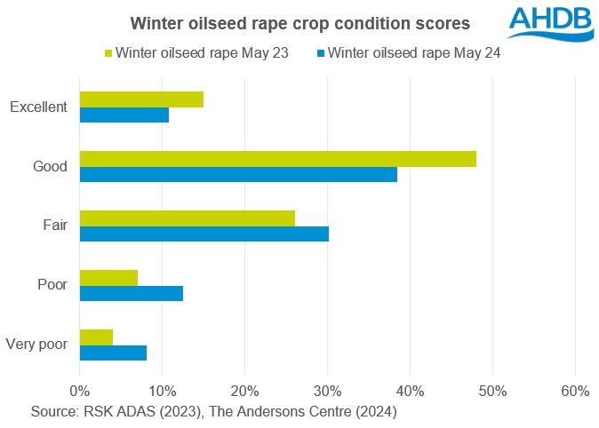 Chart showing GB winter oilseed rape crop condition scores at the end of May 2024 and May 2023